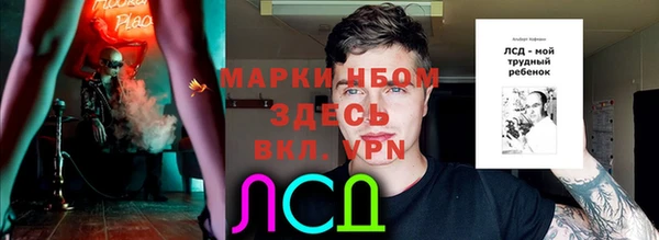 винт Алзамай
