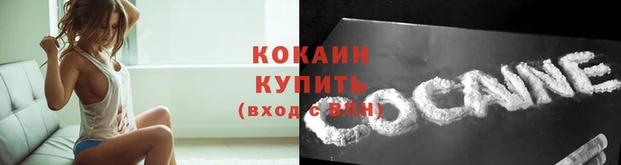 шишки Абинск