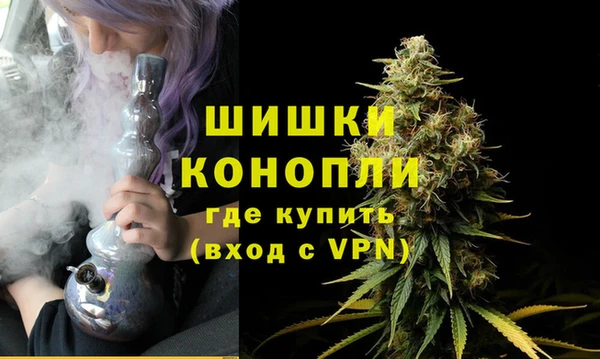 стафф Кодинск