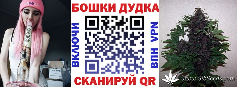 Конопля SATIVA & INDICA  Берёзовка 